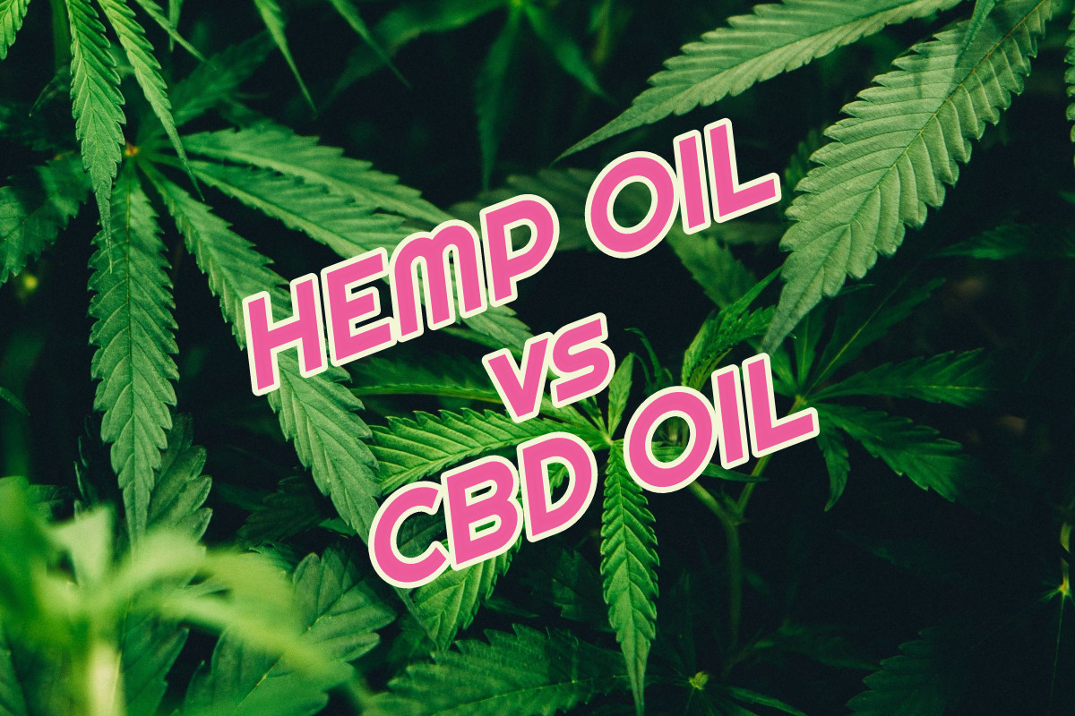hemp-oil-vs-cbd-oil