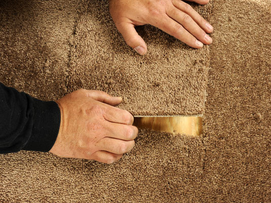 Fixing carpet damage