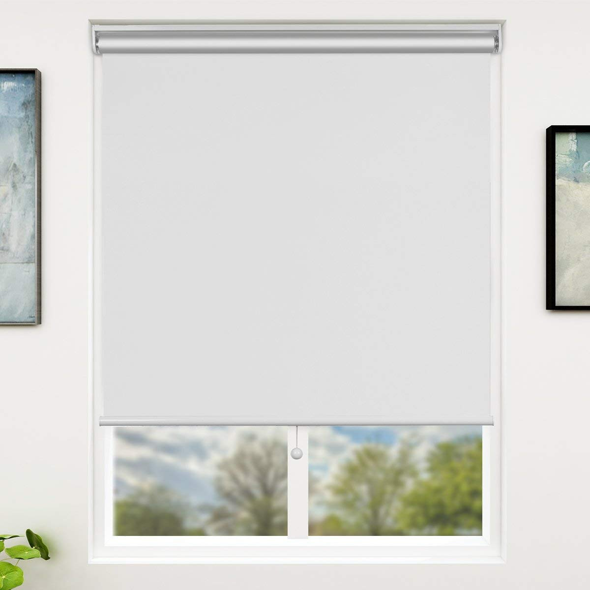 roll-window-blinds