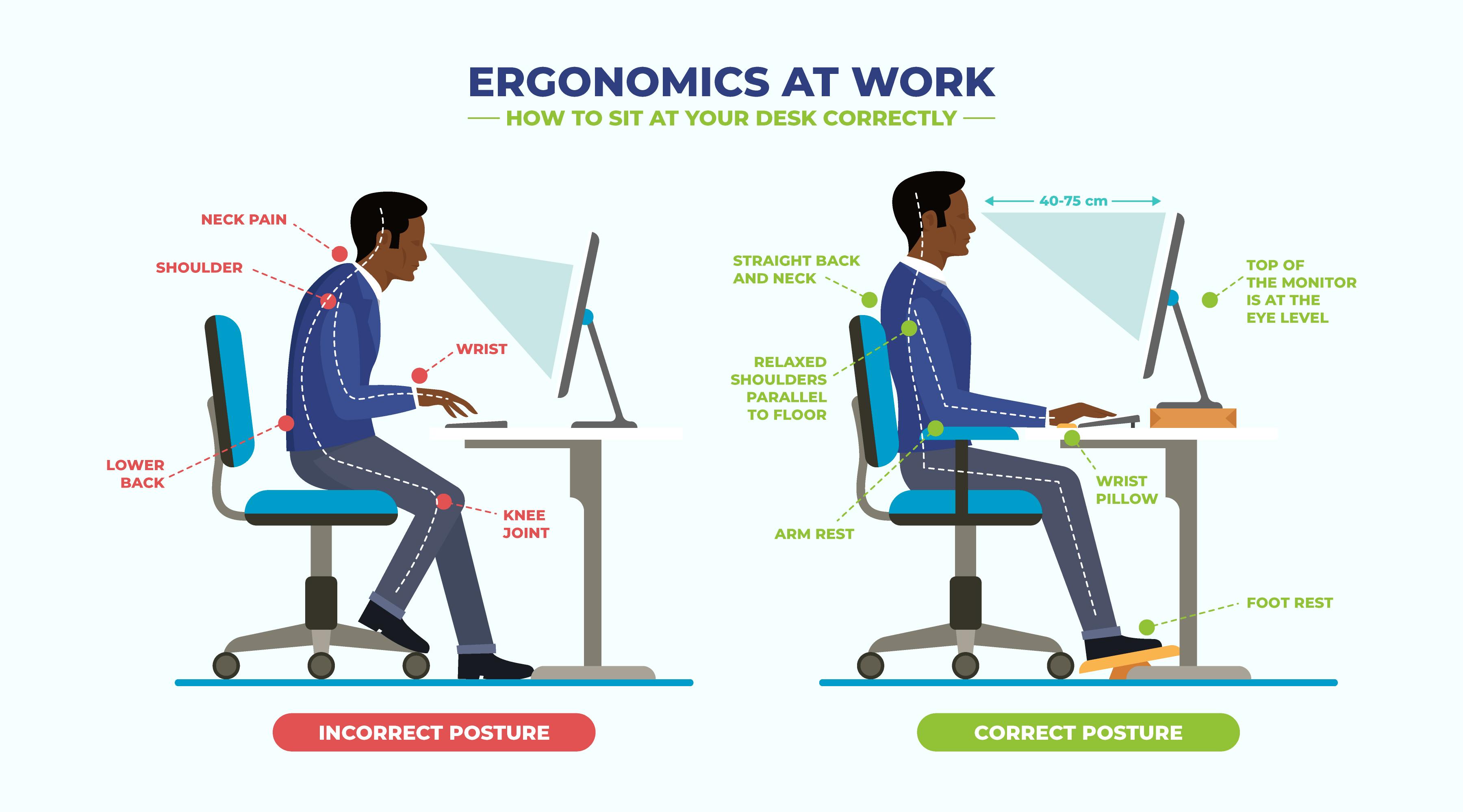 Comprehensive Guide To Office Ergonomics Comprehensive Guide To Office Ergonomics