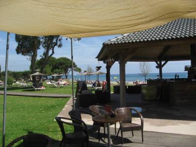 The beach bar and grassy areas offer great relaxation under the sun