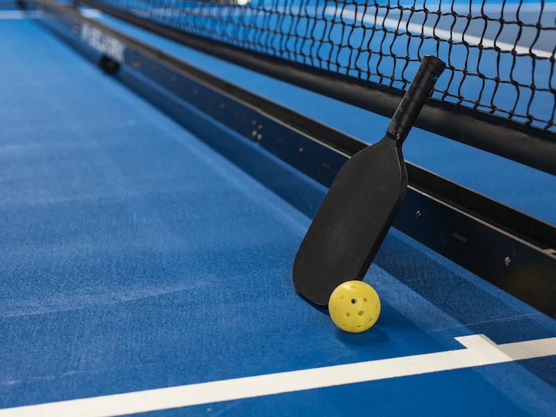 Lonely Pickleball Paddle