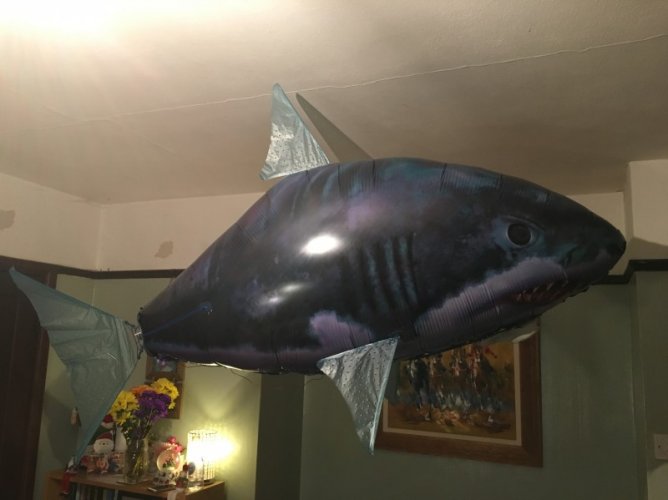 inflatable flying shark